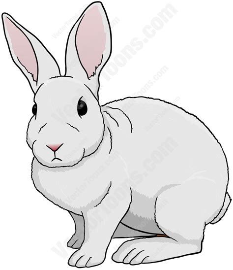 White Rabbit Looking Straight Ahead Rabbit Clipart Pet