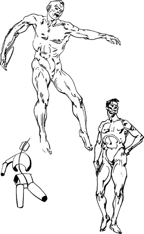 Use standard directional terminology to describe the position of. How to Draw People with Human Anatomy Lessons : How to Draw People's Bodies with Lessons Step by ...