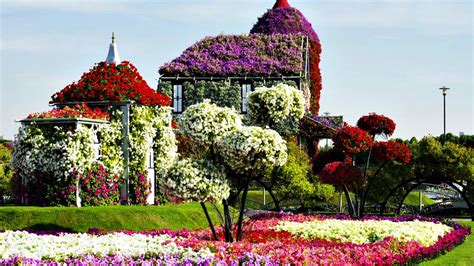 Flower House In Dubai Miracle Garden Park Series Unique Living