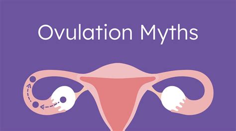 ovulation myths proov