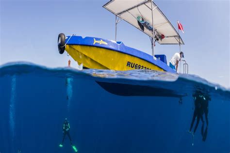Wulfy Diving Plongé à La Réunion Guide île De La Réunion