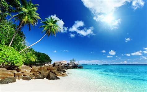 Escape To Paradise With These Desktop Backgrounds Tropical Scenery