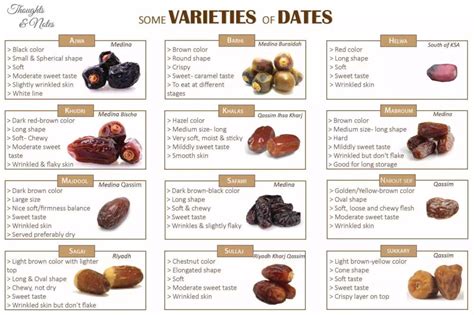 Types Of Dates And Benefits For Our Health Legitng