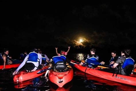 Tripadvisor Sunset Bioluminescent Bay Kayaking Provided By Best Tours