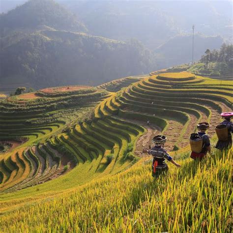 Tour North And Central Vietnam Hanoi Hoi An And Countryside Adventures