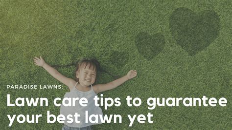Lawn Care Tips To Guarantee Your Best Lawn Ever Paradise Lawns Omaha