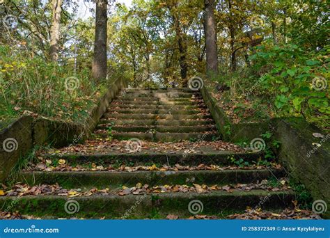 An Old Abandoned Concrete Staircase In The Forest Covered With Moss And