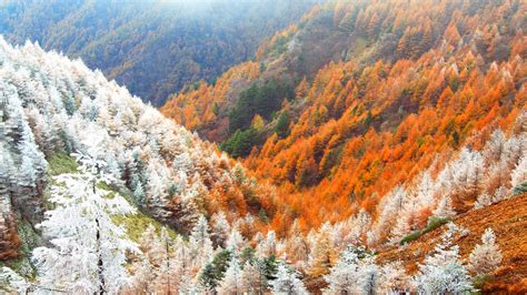 Nagano Winter Bing Wallpaper Download