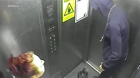 Man jailed after being filmed knocking dog's teeth out ...