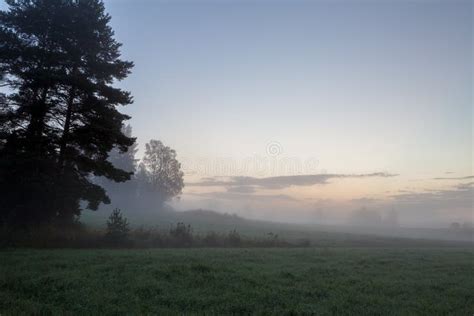Misty Meadow At Dawn Stock Image Image Of Autumn Breathtaking 62045735