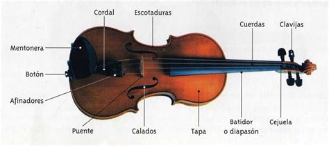 Aprender Violin Facilmente Partes De Un Violin Y De Un Arco