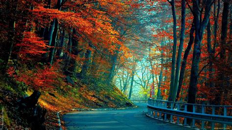🔥 Download Autumn Hd Wallpaper 1080p Image By Lisadominguez 1080p Background Wallpaper 1080p