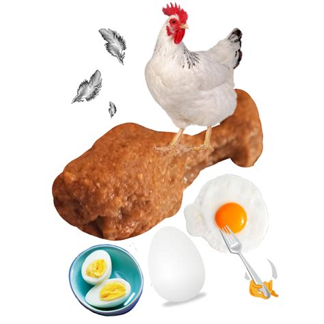 Download Chicken Hen Egg Royalty Free Stock Illustration Image Pixabay