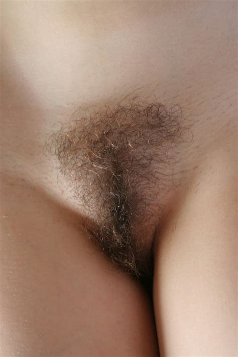Women With Hairy Muffs Ii Page 6 Literotica Discussion Board
