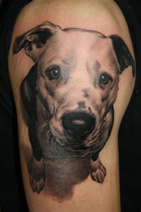 50 Magnificent Dog Portrait Tattoo Design And Ideas