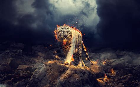 Scary Tiger Wallpapers Wallpaper Cave