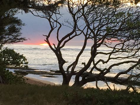 Top 116 Complaints and Reviews about YMT Vacations