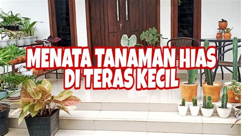Sesuaikan barisan dan beri jarak. MENATA TANAMAN HIAS DI TERAS KECIL - YouTube
