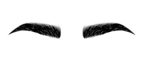 Vecteur Stock Eyes With Eyebrow And Long Eyelashes And Tweezers To Logo
