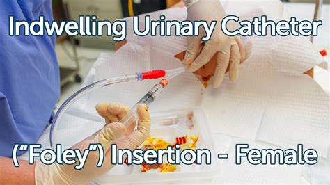 Indwelling Urinary Catheter Foley Insertion Female Youtube