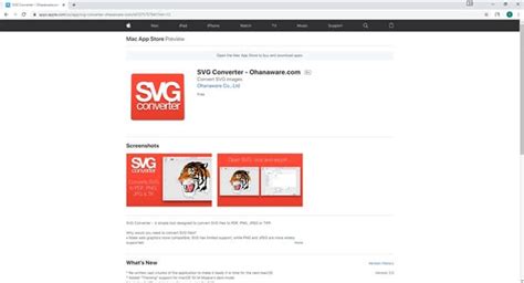 7 Best SVG Converters You Should Try in 2022