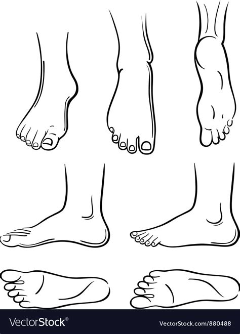 Feet Royalty Free Vector Image VectorStock