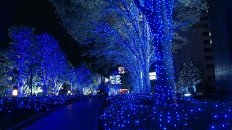 Find the best christmas hd wallpapers on wallpapertag. Christmas HD Widescreen Wallpaper 1920x1080 (61+ images)