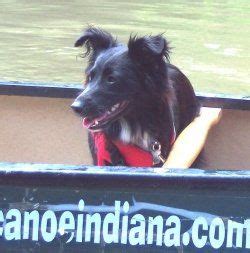 If it's outside, it's worth doing. Fun things to do with your dog! | Dogs, Your dog, Fun ...