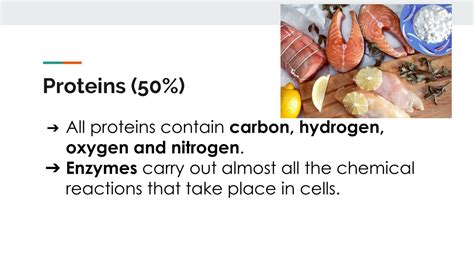 In animal, plant and fungal cells, the instructions for making proteins and the structures where proteins are made are found in two different locations. PPT - Important Elements in Organisms PowerPoint Presentation, free download - ID:525684