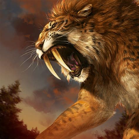 Saber Tooth Tiger Wallpapers Wallpaper Cave