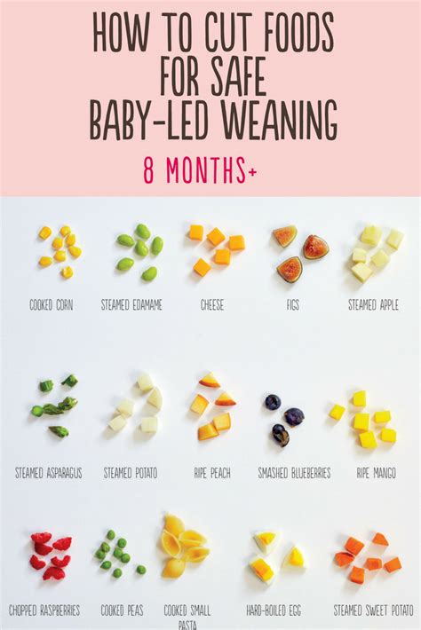 What should an 8 month old be eating and drinking? How to Cut Foods for Baby-Led Weaning for Older Babies ...