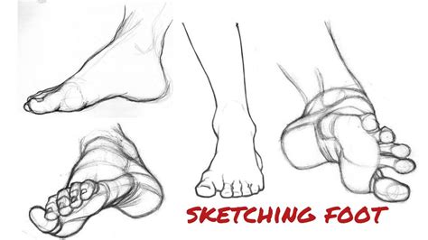 How To Draw Foot Easily Foot Anatomy For Beginners Step By Step Youtube