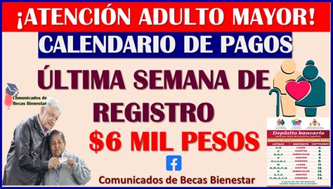 ≫ Última Semana De Registro A La Pensión Bienestar Del Adulto Mayor