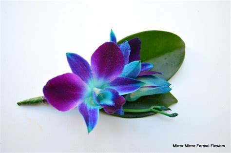 Their website is super easy to use and they are very affordable in comparison to other online florists. Blue Orchid Buttonhole - Brisbane Formal Flowers