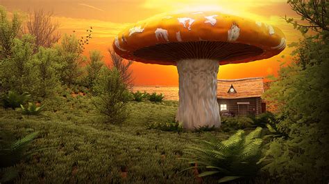 Mushroom Scene Cg Cookie Learn Blender Online Tutorials And Feedback