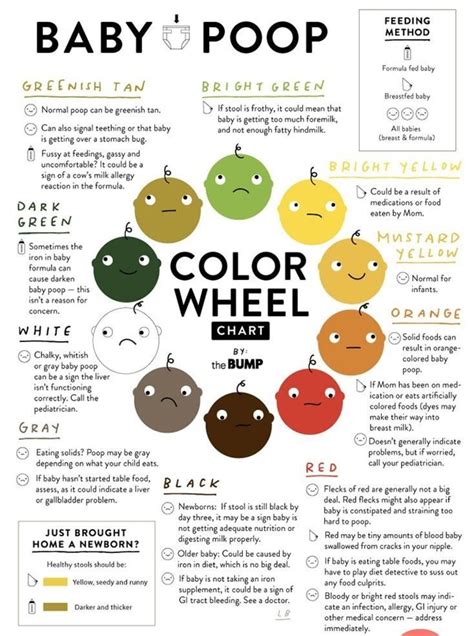 What Poop Color Means The Meaning Of Color