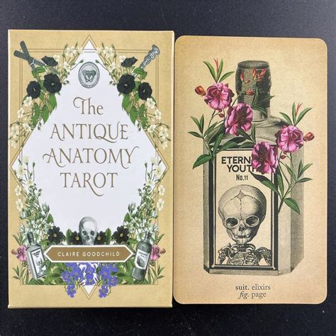 The Antique Anatomy Tarot Cards Deck Full English Oracle Etsy
