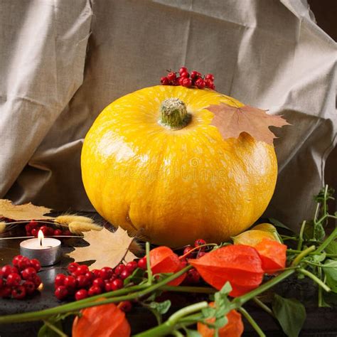 The Yellow Pumpkin With Autumn Leaves Flowers And Berries Stock Photo