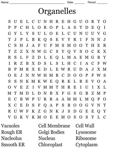 Cell Organelles Word Search Wordmint