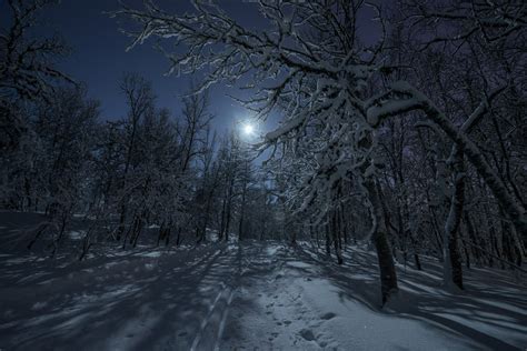 Hd Wallpaper Winter Forest Snow Road Night Moon Light