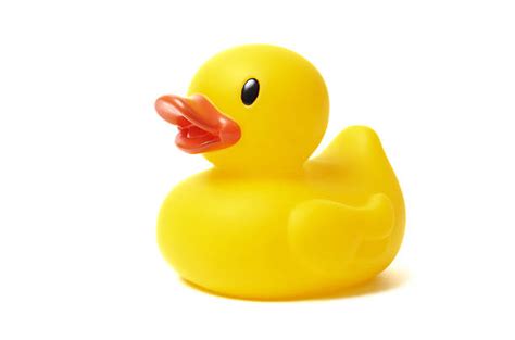 Rubber Duck Stock Photos Pictures And Royalty Free Images Istock