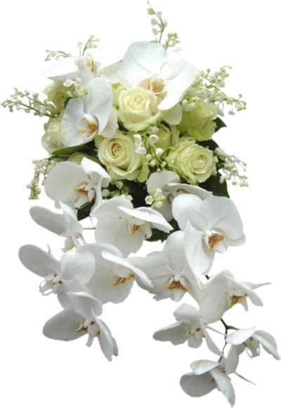 Photo By Carmenmbonilla White Wedding Bouquets Wedding Bouquets Flowers