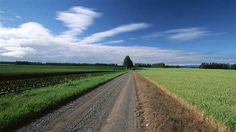 1920x1080 1920x1080 Field Road Trees Clouds Coolwallpapersme
