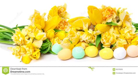 Daffodils Tulips Easter Eggs Stock Image Image Of Greeting Banner