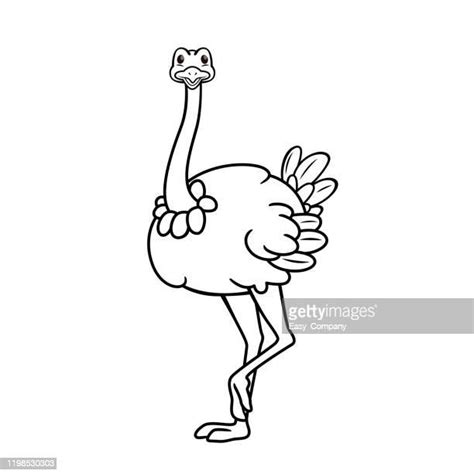 Ostrich Running Stock Fotos Und Bilder Getty Images