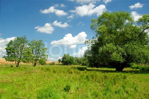 Idyllic Landscape With Blue Sky White Clouds Green Grass