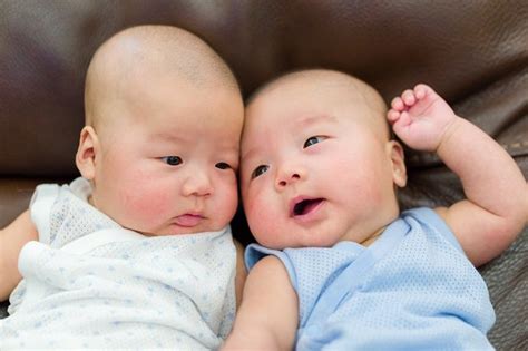 Gambar Bayi Kembar Dalam Kandungan Pulp