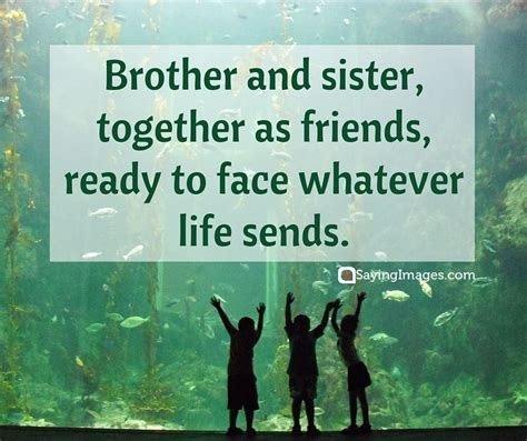 Nice Brother And Sister Quotes Rigo Quotes