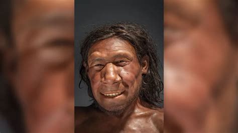 Lumpy Tumor Shown On Facial Reconstruction Of Neanderthal Who Lived On