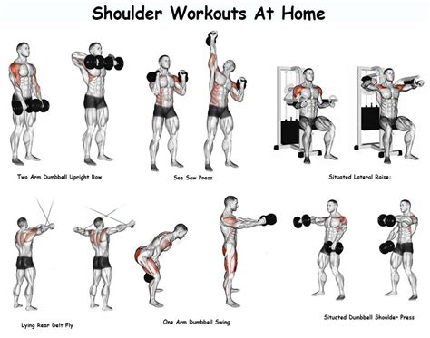 List Of Best Known And Professional Recommended Shoulder Workouts For